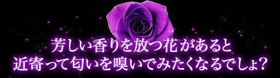 芳しい香りを放つ花があると近寄って匂いを嗅いでみたくなるでしょ?