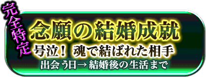 完全特定　念願の結婚成就　号泣！ 魂で結ばれた相手　出会う日→結婚後の生活まで