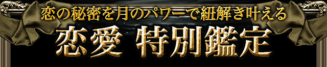恋の秘密を月のパワーで紐解き叶える　恋愛・特別鑑定
